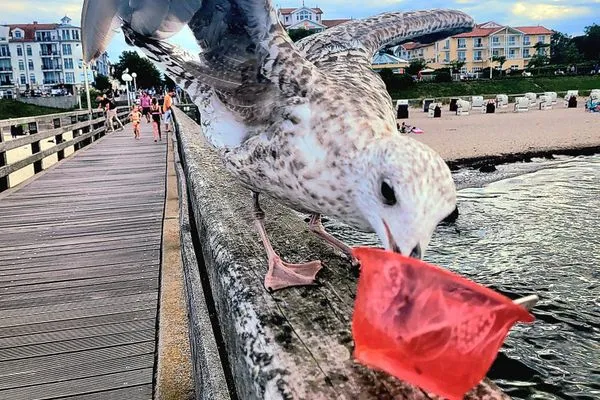 Strand  Auf den Höfen Ferienwohnung 5 Kleines Glück