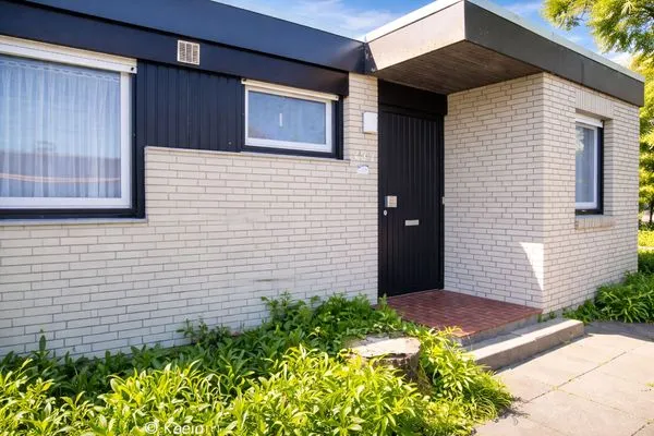 Hauptansicht  Wattläufer