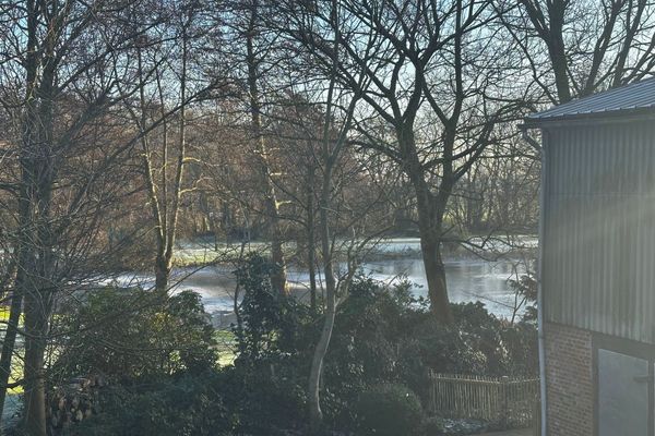  Whg. Arche Noah - Vierlindenhof Böhl - 