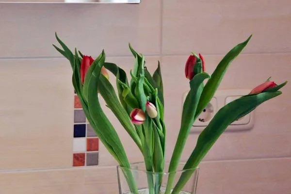 Bathroom Insel-Idyll Morgentraum