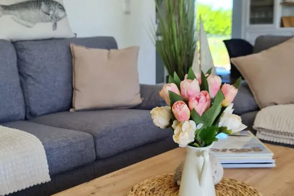   Ferienhaus Springborn