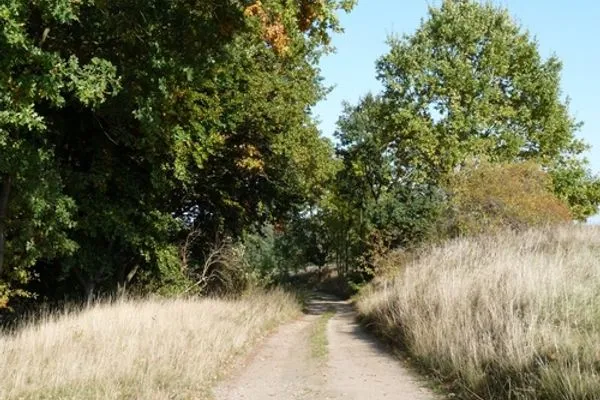   Ferienhaus in Zislow