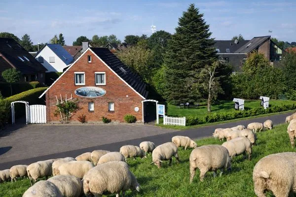 Vogelperspektive  Norderney