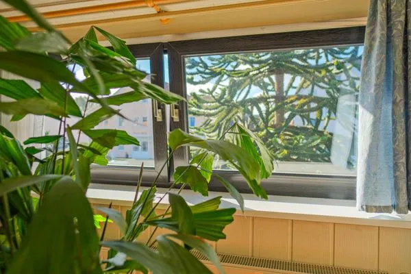 Dekoratives Detail  Ferienwohnung Neue Reihe 83 a