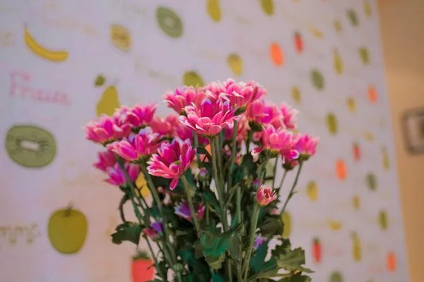 Dekoratives Detail  Ferienwohnung Ostseeliebe