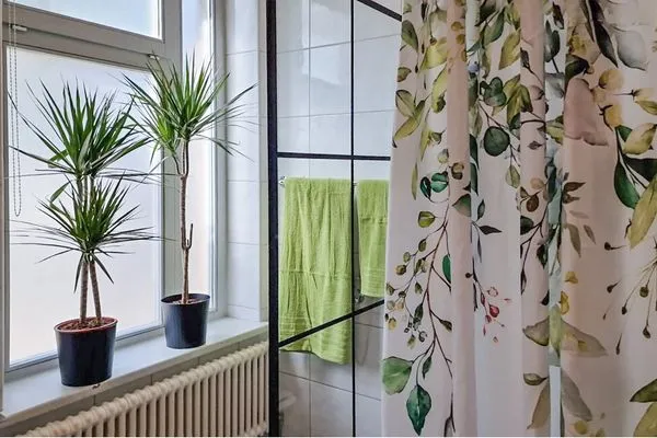   Ferienwohnung Wustrow 10