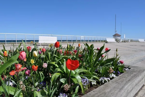Landschaft  Haus Olymp Ferienwohnung 33