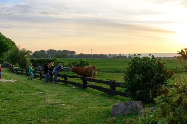 Gartenblick  Pension Schmelzer Wohnung 28