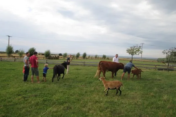 Gartenblick  Pension Schmelzer Wohnung 33