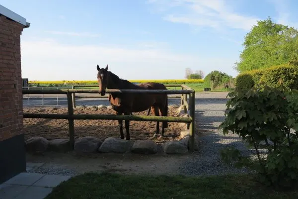   Bauernhaus 3 -Vaest-