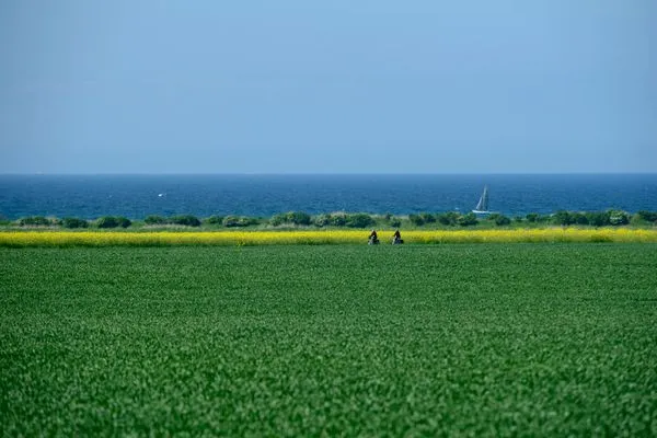 Landschaft  Pension Schmelzer Wohnung 7