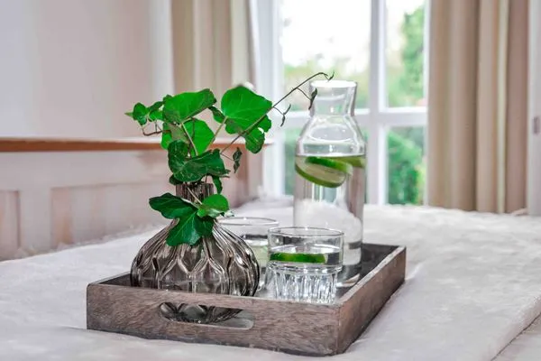 Dekoratives Detail  Ferienwohnung Poseidon Residenz Störtebecker