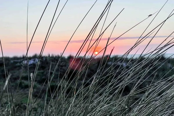 Strand  Ferienwohnung Poseidon Residenz Störtebecker