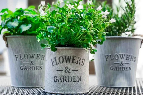 Dekoratives Detail  Ferienwohnung Poseidon Residenz Störtebecker