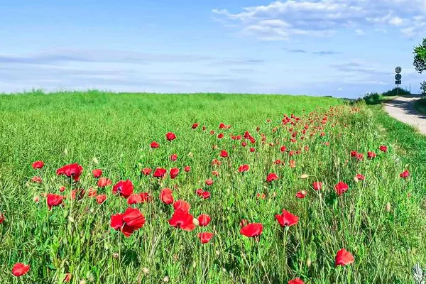 Landschaft  Ferienwohnung Poseidon Residenz Störtebecker