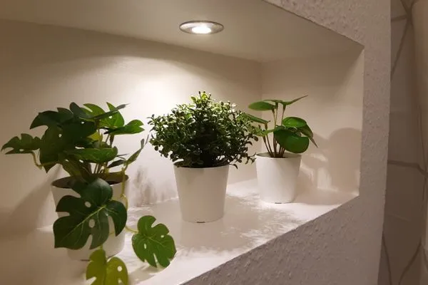   Ferienwohnung "Fjordmark" in Stexwig