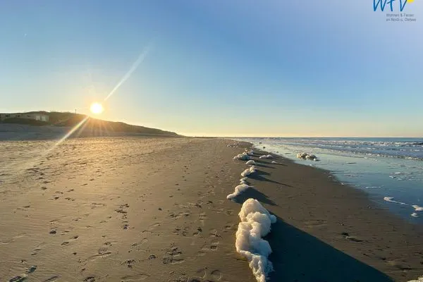 Strand Friesenfranz Ferienwohnung Gartenfriese