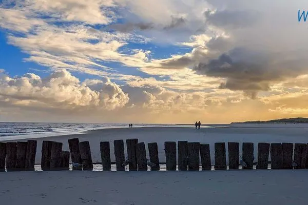  Friesenfranz Ferienwohnung Gartenfriese