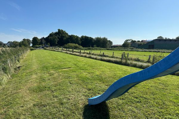  Reetdachhaus Deichperle Halbinsel Eiderstedter - Garten