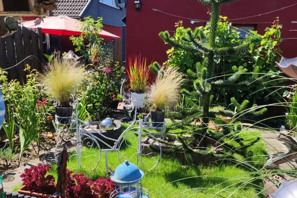 Garten  Ferienwohnung Dornbusch - ruhige Stadtrandlage