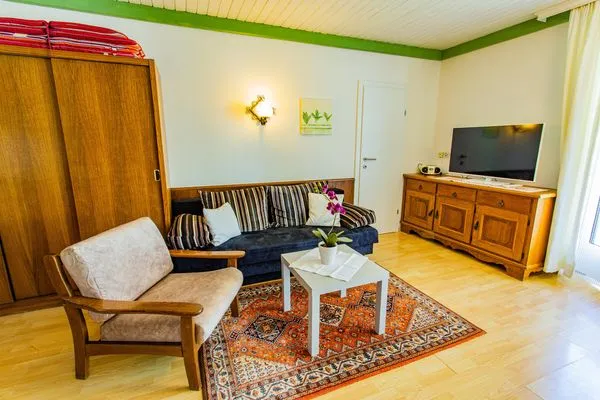 Wohnzimmer mit Schlafsofa und Fernseher  Soldanella 8 by Alpenidyll Apartments