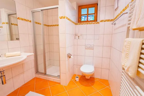 Dusche und WC  Soldanella 8 by Alpenidyll Apartments