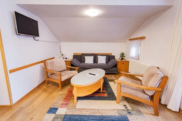 Wohnzimmer, Schlafsofa und Fernseher  City Life 1 by Alpenidyll Apartments