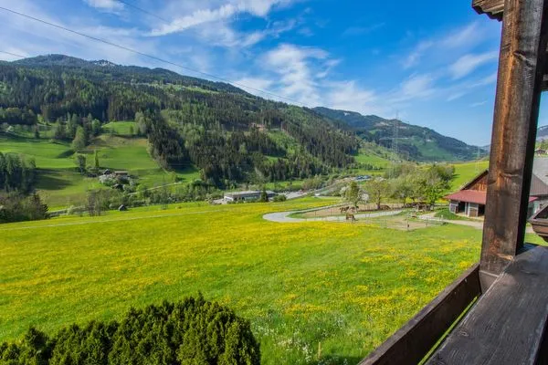 Aussicht in die Berge  Huberhof 6 by Alpenidyll Apartments
