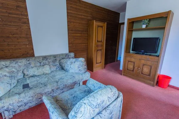 Wohnzimmer, Schlafsofa mit Fernseher  Huberhof 6 by Alpenidyll Apartments