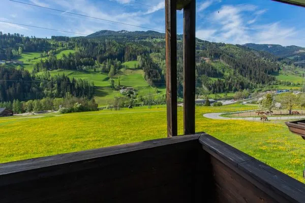 Aussicht in die Berge  Huberhof 6 by Alpenidyll Apartments