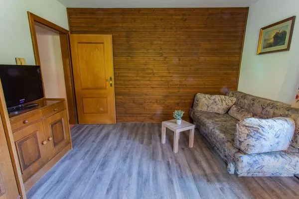 Wohnzimmer mit Schlafsofa und Fernseher  Huberhof 7 by Alpenidyll Apartments