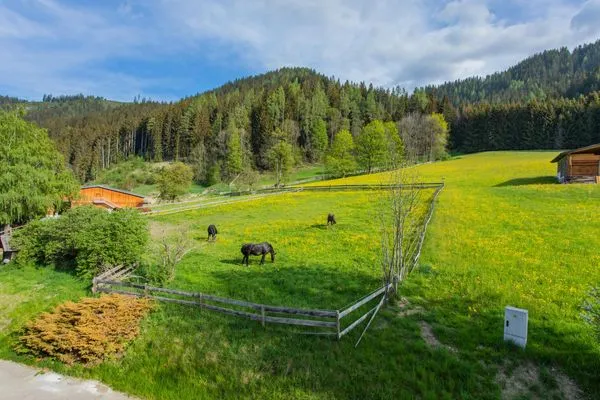 Scenery  Huberhof 8 by Alpenidyll Apartments