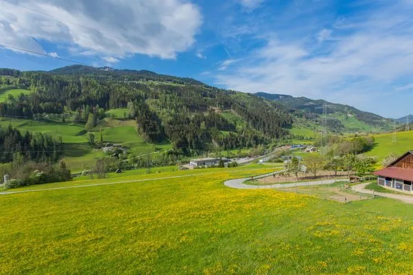 Aussicht in die Berge  Huberhof 9 by Alpenidyll Apartments