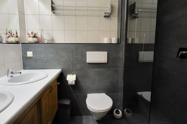 Badezimmer mit Dusche und WC  S`Gerhardter by Alpenidyll Apartments