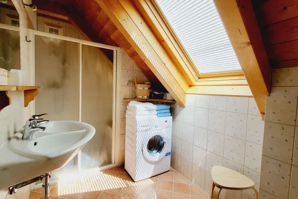 Bathroom with shower and washing machine  Stodertraum 3 "Löwenzahn" by Alpenidyll Apartments