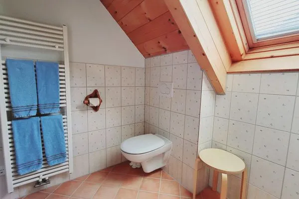 Badezimmer mit WC  Stodertraum 6 "Glockenblume" by Alpenidyll Apartments