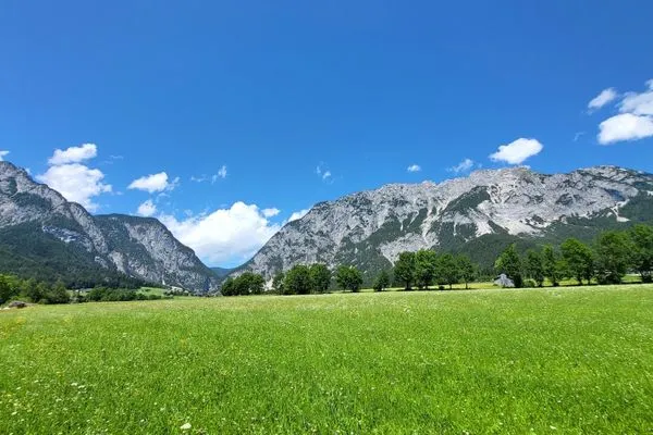 Berge  Stodertraum 6 "Glockenblume" by Alpenidyll Apartments
