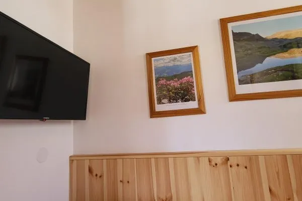 Fernseher  Planaiblick by Alpenidyll Apartments