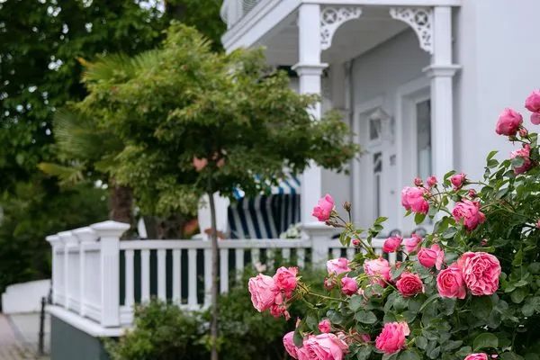 Terrasse  Villa Hansa App. C1 - mit Strandkorb und Palmen auf der Terrasse