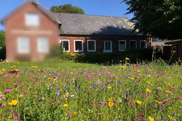 Ferienwohnung für bis zu 4 Personen (und Hund) mit Garten  Krischan - Ruhige Ferienwohnung unweit vom Meer