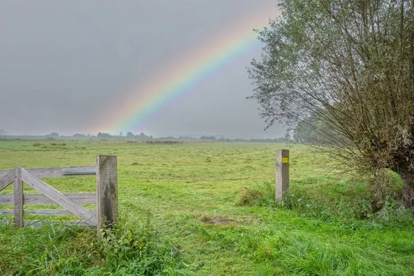  Bad Hoophuizen Chalet L-Cube 6 Nr. Eik 19