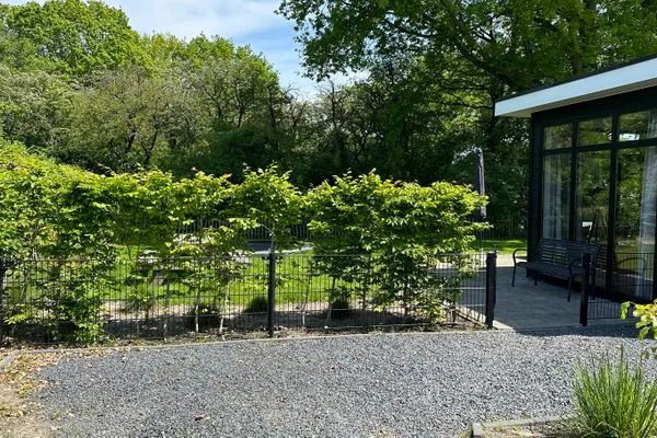  Bad Hoophuizen Chalet L-Cube 6 Nr. Eik 19