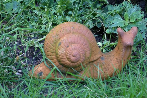  Jagdhaus 1 EG Wieck - Dekoratives Detail