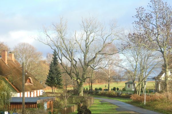  Jagdhaus 2 OG Wieck - Gartenblick