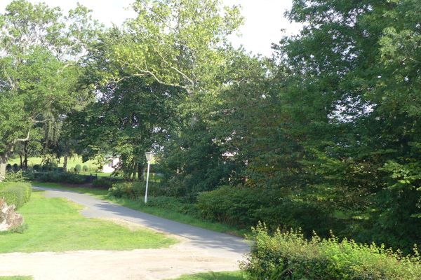  Jagdhaus 2 OG Wieck - Gartenblick