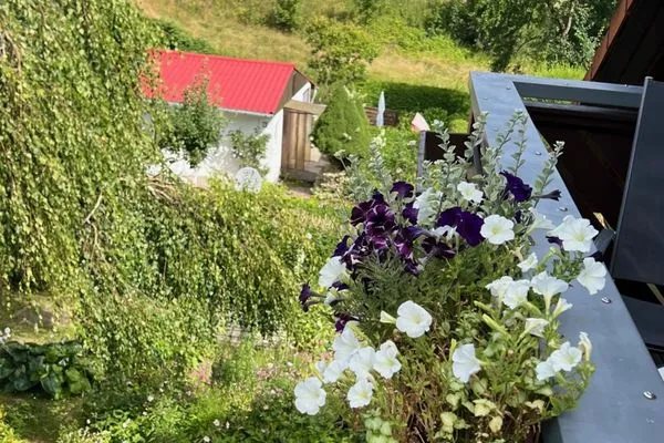 Gartenblick  Ferienwohnung Stockrose - ganz nah am Nationalpark Jasmund