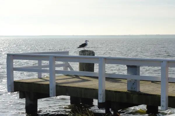   Wiecker Landhus FHH 1