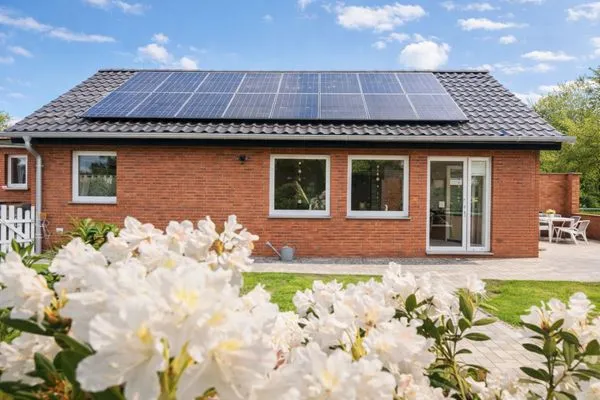 Hauptansicht  Seegras