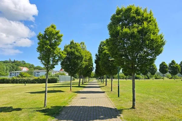 Landschaft  Ferienwohnung Muschel - Ostsee-Urlaub mit Hund