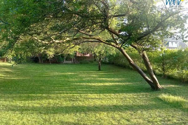 Garten Haus Kiebitzdelle-Leegde 16 Ferienhaus Müller